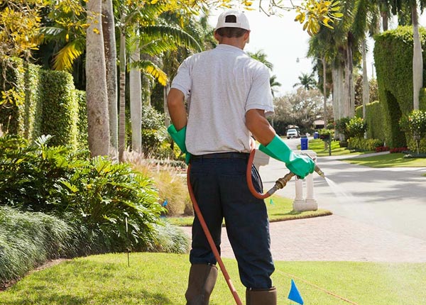 About Spruce Pine NC Pest Control